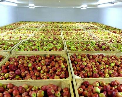 New Cold Storage Facility Opens in Kyrgyz Republic’s Osh Region