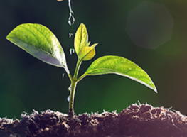 A Shift in Industrial Refrigeration