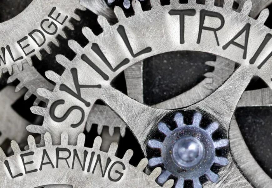 IOR Launches Online Skills and Talent Hub