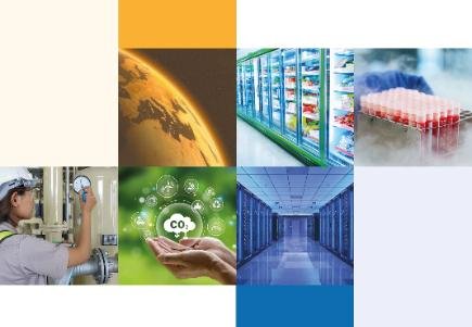 IIR Releases 2024 Activity Report Highlighting Strategic Shift