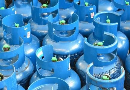 Combating Illegal Imports and Environmental Crimes Through International Collaboration