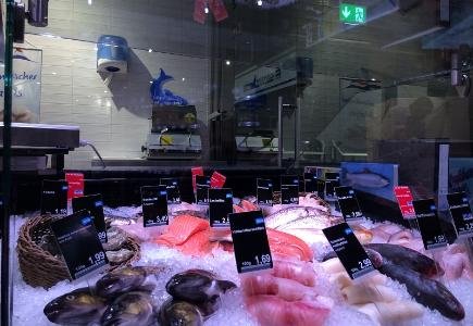RefIndustry Opens Call for Case Studies for Commercial Refrigeration Special Edition