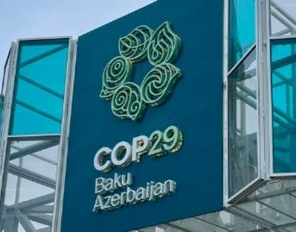 Refrigerants at COP29: Cooling the Venue, Warming the Planet