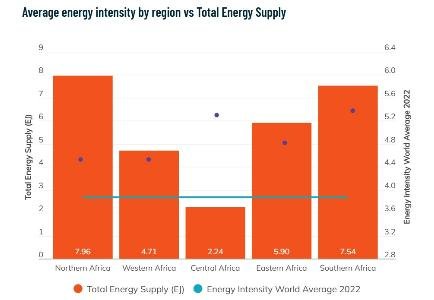 SEforALL joins African Energy Efficiency Alliance to advance continent-wide initiatives