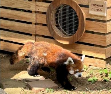Toshiba Carrier’s FLEXAIR installed in Chiba Zoological Park