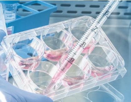 iJS per Bloom Technologies: nuovi armadi frigo medicali affidabili e connessi