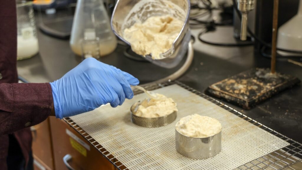 UMaine student develops wood-fiber foam for cooler insulation